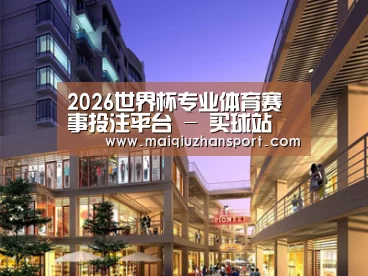 案例展示一(图1)