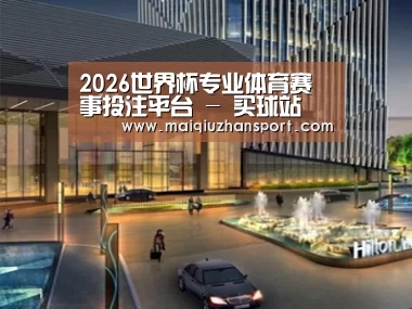 案例展示二