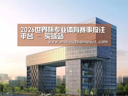 案例展示四