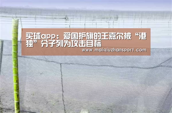 买球app：爱国护旗的王嘉尔被“港独”分子列为攻击目标