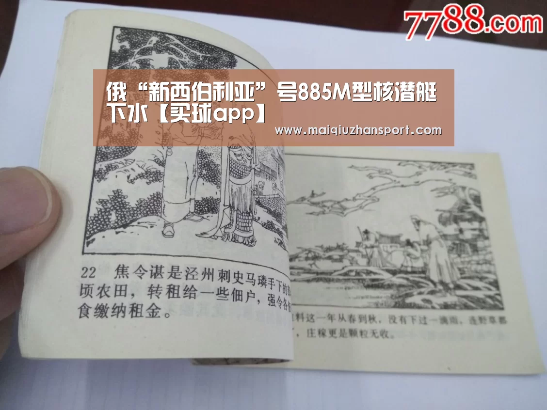 俄“新西伯利亚”号885M型核潜艇下水【买球app】(图1) 买球站