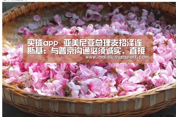 买球app-亚美尼亚总理支招泽连斯基:与普京沟通必须诚实、直接 松下纱荣子(图1) 买球站