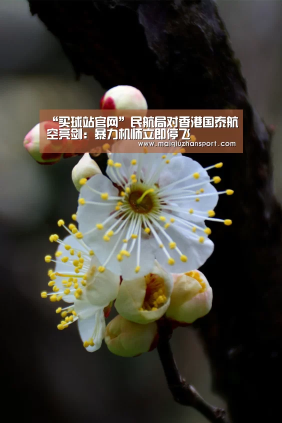 “买球站官网”民航局对香港国泰航空亮剑:暴力机师立即停飞(图1) 买球app