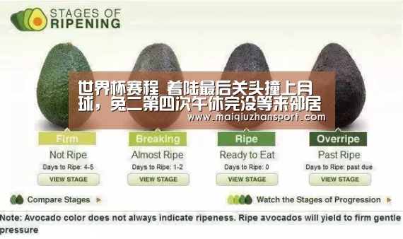 世界杯赛程_着陆最后关头撞上月球,兔二第四次午休完没等来邻居(图1) 买球app