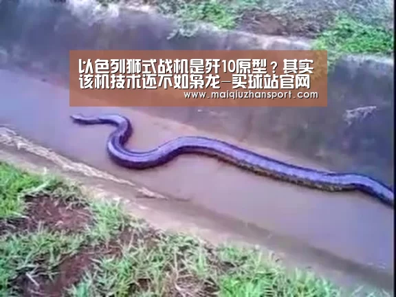 以色列狮式战机是歼10原型?其实该机技术还不如枭龙-买球站官网(图1) 买球app