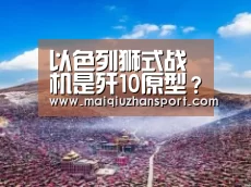 以色列狮式战机是歼10原型?其实该机技术还不如枭龙-买球站官网(图3) 买球app
