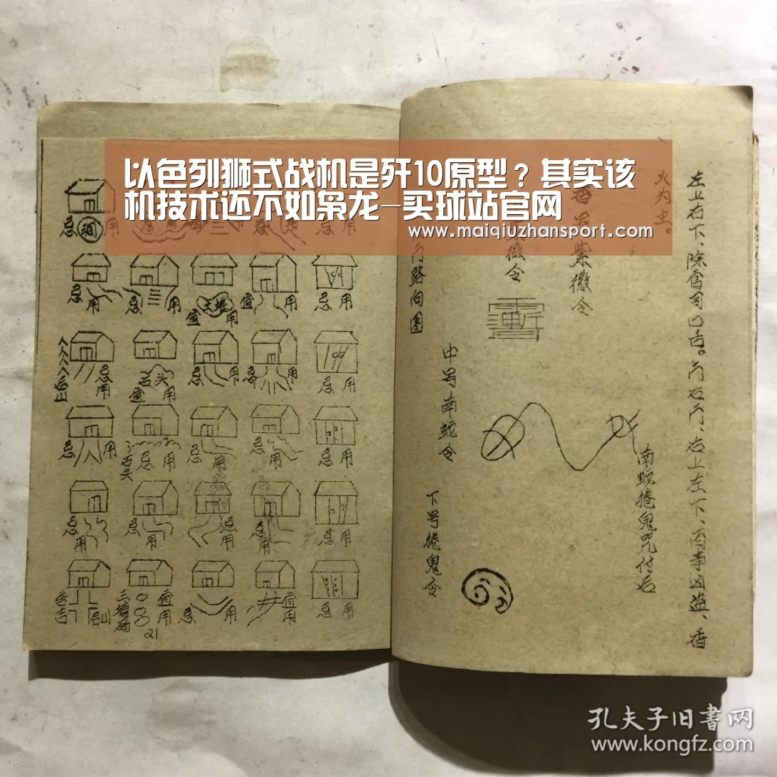 以色列狮式战机是歼10原型?其实该机技术还不如枭龙-买球站官网(图2) 世界杯赛程